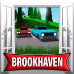 Brookhaven Codes
